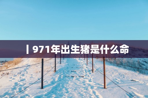 丨971年出生猪是什么命