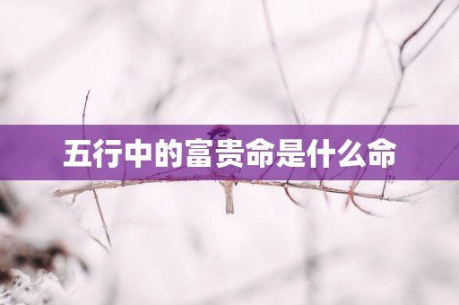 五行中的富贵命是什么命