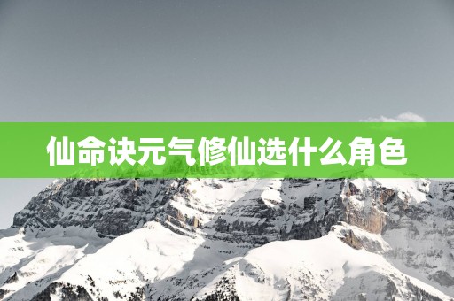 仙命诀元气修仙选什么角色