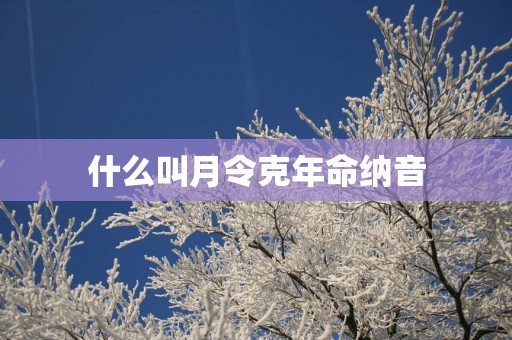什么叫月令克年命纳音