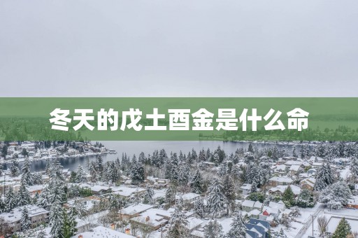 冬天的戊土酉金是什么命