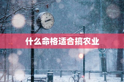 什么命格适合搞农业