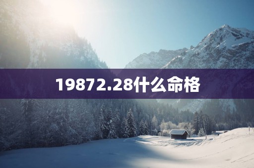19872.28什么命格