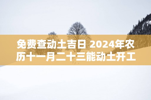 免费查动土吉日 2025年农历十一月二十三能动土开工吗