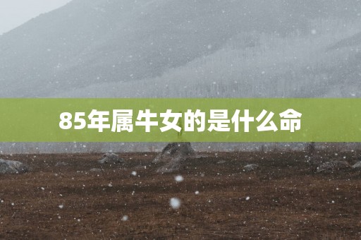 85年属牛女的是什么命