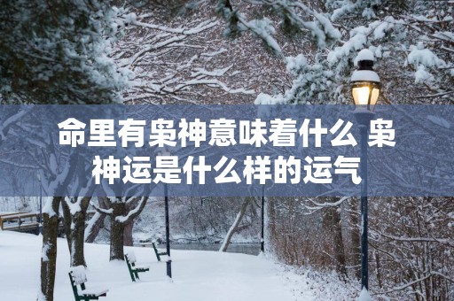 命里有枭神意味着什么 枭神运是什么样的运气