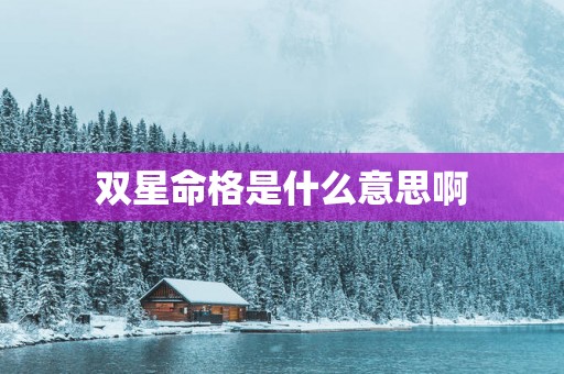 双星命格是什么意思啊