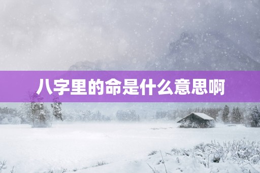 八字里的命是什么意思啊