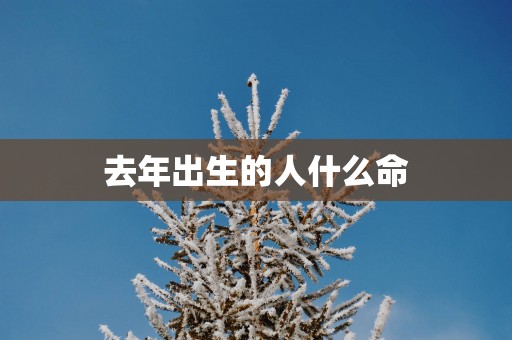 去年出生的人什么命