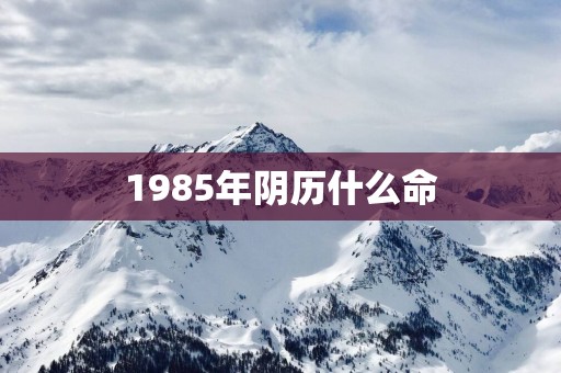 1985年阴历什么命