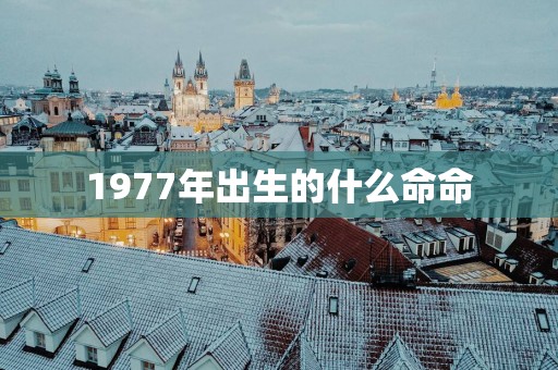 1977年出生的什么命命