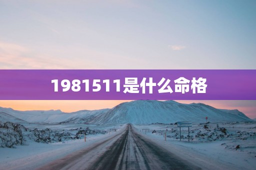 1981511是什么命格