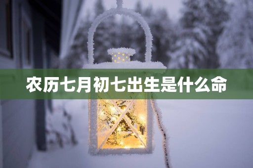 农历七月初七出生是什么命