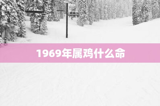 1969年属鸡什么命
