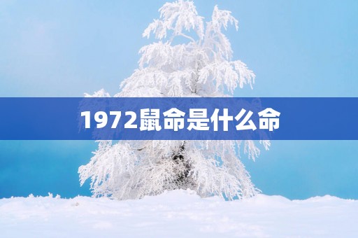 1972鼠命是什么命