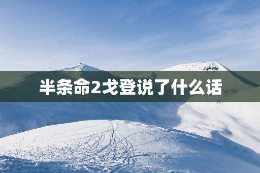半条命2戈登说了什么话