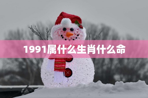 1991属什么生肖什么命