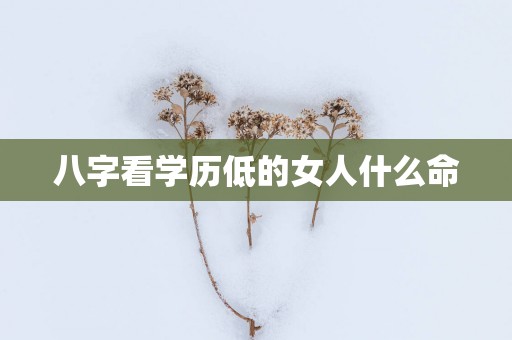 八字看学历低的女人什么命