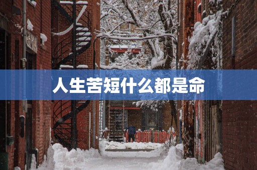 人生苦短什么都是命