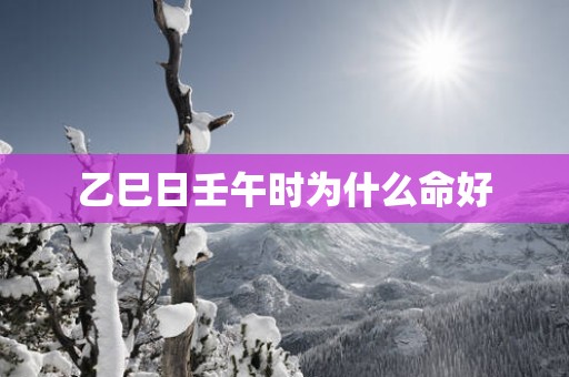 乙巳日壬午时为什么命好