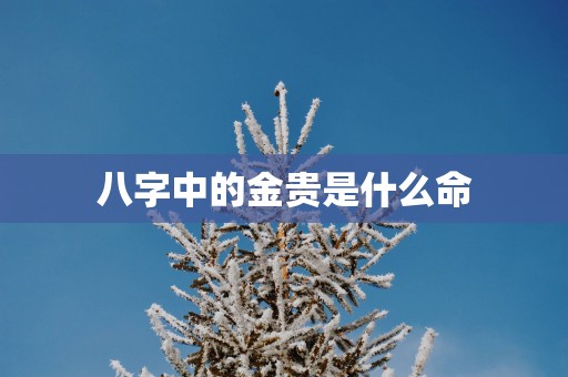 八字中的金贵是什么命
