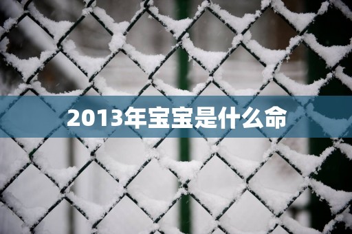 2013年宝宝是什么命