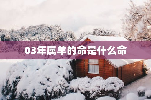 03年属羊的命是什么命
