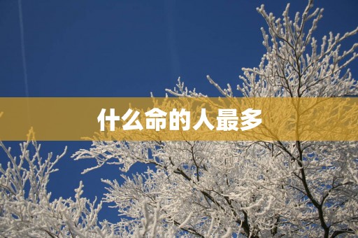 什么命的人最多