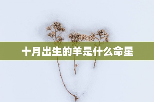 十月出生的羊是什么命星