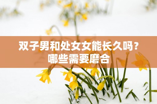 双子男和处女女能长久吗？哪些需要磨合