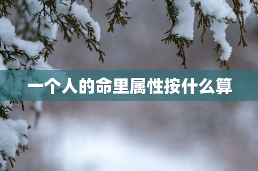 一个人的命里属性按什么算