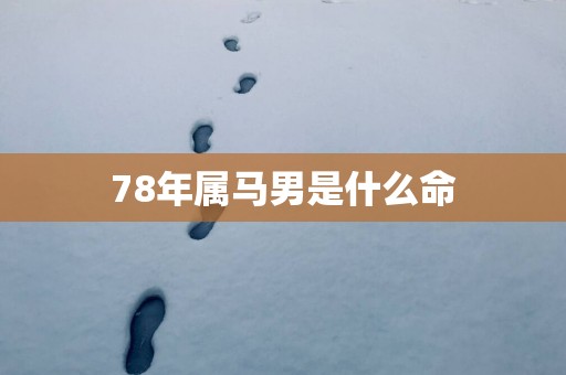 78年属马男是什么命