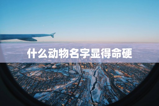 什么动物名字显得命硬
