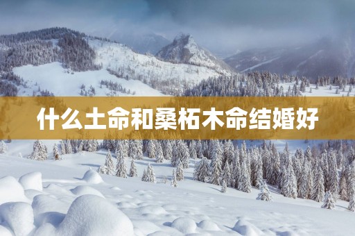 什么土命和桑柘木命结婚好
