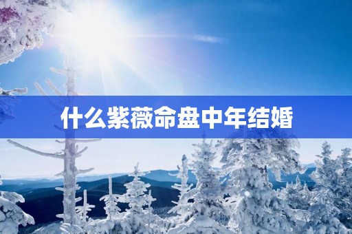 什么紫薇命盘中年结婚