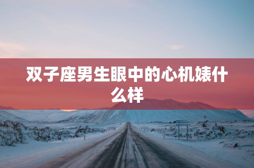 双子座男生眼中的心机婊什么样
