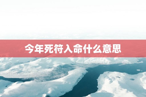 今年死符入命什么意思