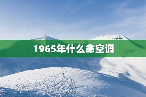 1965年什么命空调