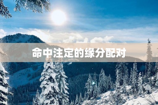命中注定的缘分配对