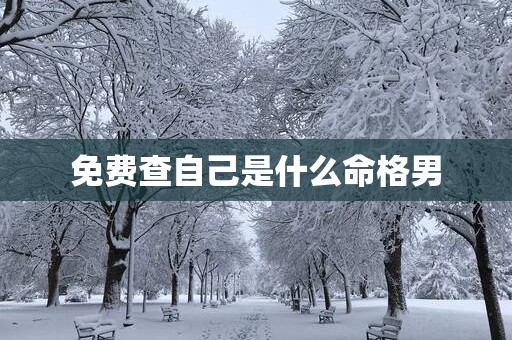 免费查自己是什么命格男