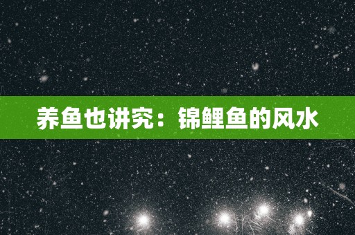 养鱼也讲究：锦鲤鱼的风水