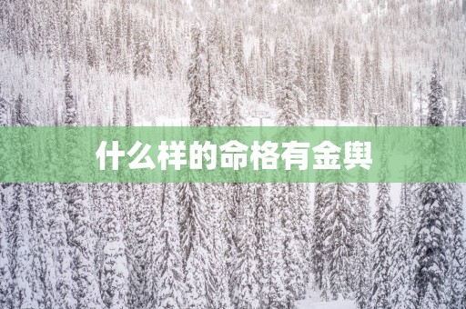 什么样的命格有金舆