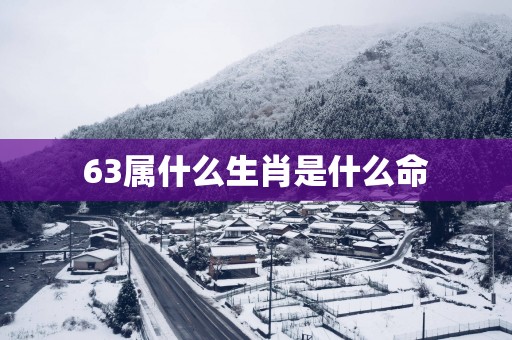 63属什么生肖是什么命