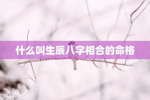 什么叫生辰八字相合的命格