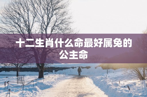 十二生肖什么命最好属兔的公主命