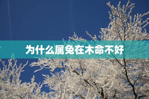 为什么属兔在木命不好