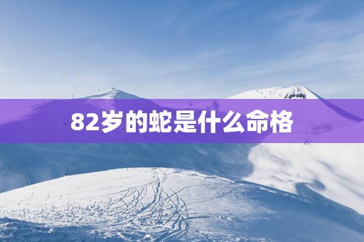 82岁的蛇是什么命格
