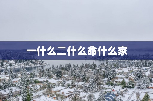 一什么二什么命什么家