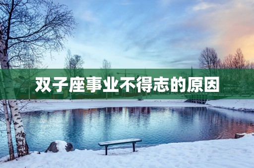 双子座事业不得志的原因