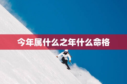 今年属什么之年什么命格